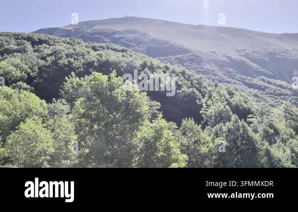 green mountain and forest Stock Video Footage - Alamy