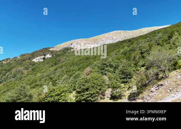 amazing view from above with green forest and mountains Stock Video ...