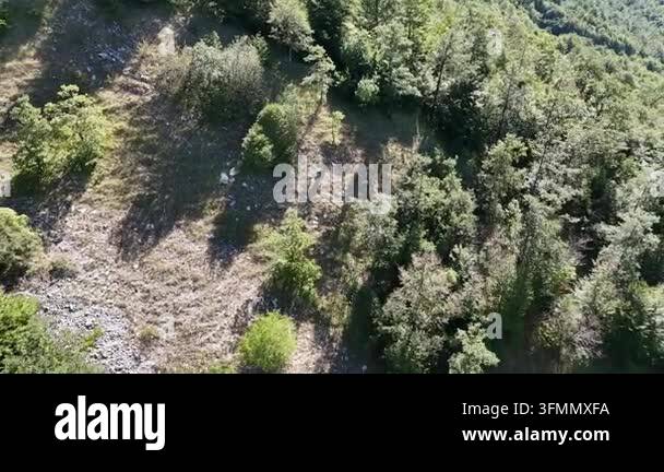 beautiful landscape of the mountain Stock Video Footage - Alamy