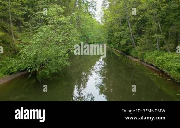 Calm river flowing through a lush green deciduous forest Stock Video ...