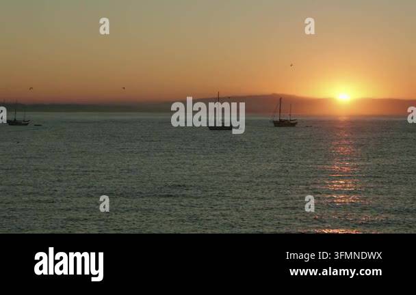 Two sailboats floating on calm ocean water at sunset Stock Video ...