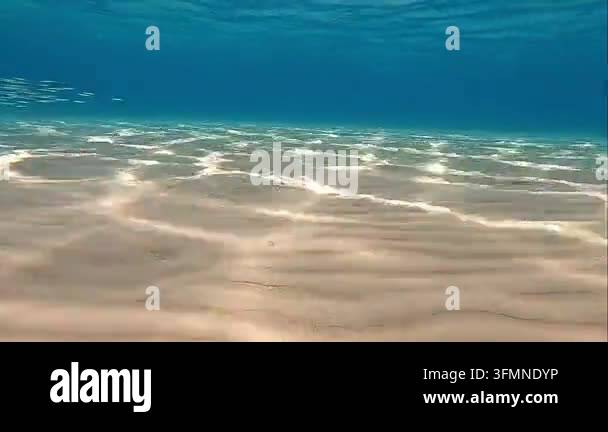 Sunlight dappled on a sandy seabed under clear blue water Stock Video ...