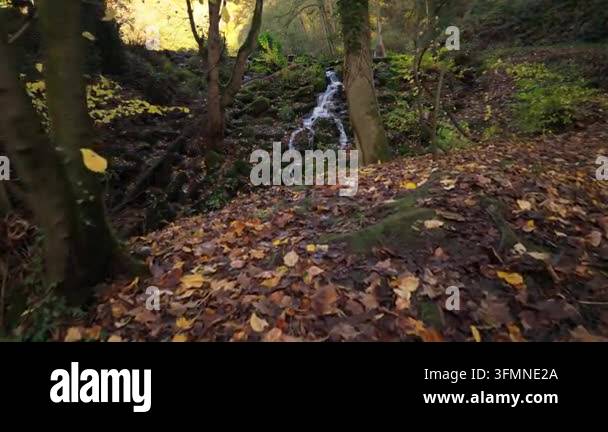 Small waterfall flowing over rocks in an autumn forest landscape Stock ...