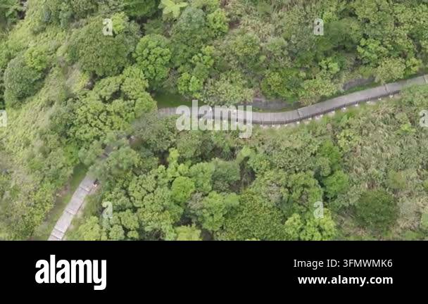 Aerial drone footage captures a winding path through a lush green ...