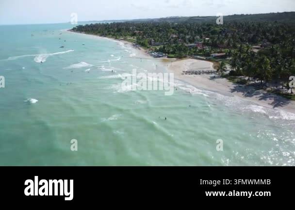 Aerial view of a tropical coastline with palm trees, sandy beach, and ...