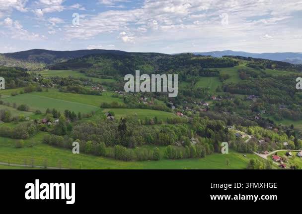 beautiful view of the forest Stock Video Footage - Alamy