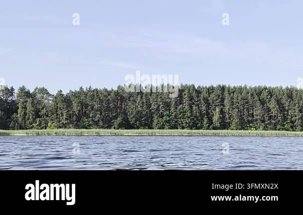 lake and forest on a sunny day in summer Stock Video Footage - Alamy