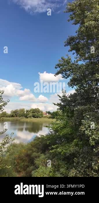 Stunning panoramic landscape of a calm river with green reeds on the ...