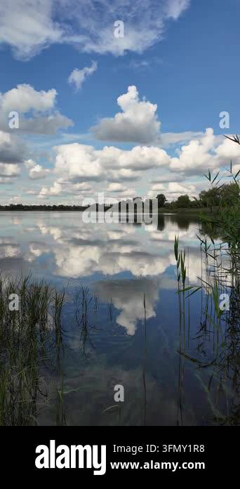 Stunning panoramic landscape of a calm river with green reeds on the ...