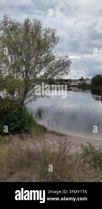 Stunning panoramic landscape of a calm river with green reeds on the ...