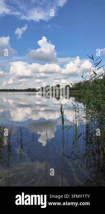 Stunning panoramic landscape of a calm river with green reeds on the ...