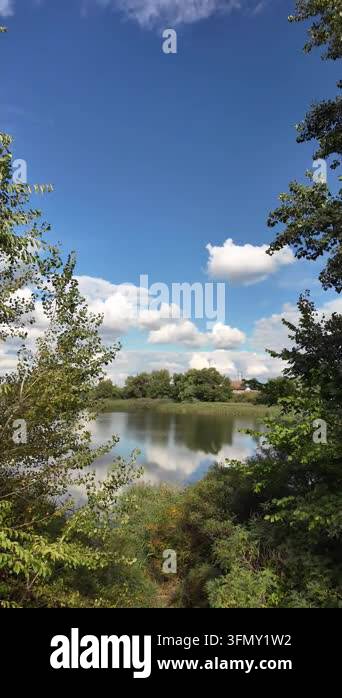 Stunning panoramic landscape of a calm river with green reeds on the ...