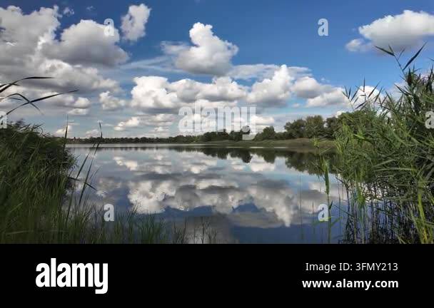 Stunning panoramic landscape of a calm river with green reeds on the ...