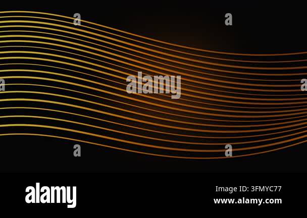 Abstract flowing liquid gold topographic wave lines on premium black ...
