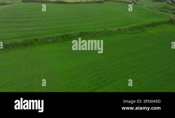 An aerial view of lush green agricultural grass fields Stock Video ...