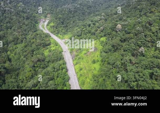 Winding asphalt road stretching through lush green forest mountains ...