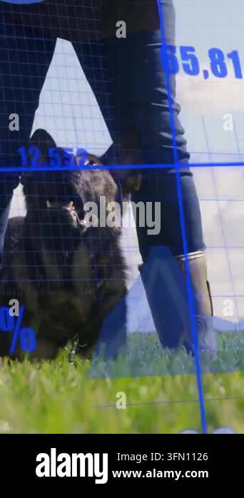 Vertical video: Senior woman bending petting dog after lift, calming ...