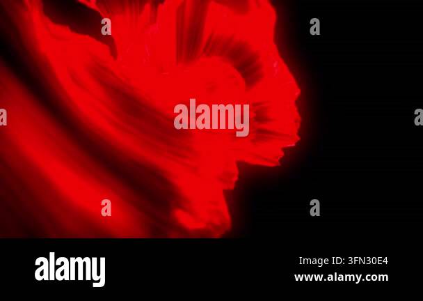 Animation of red shapes moving over black background. light, pattern ...