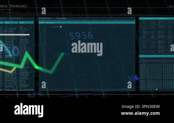 Terminal panel filling view, blinking cursor starting code, 3 line ...