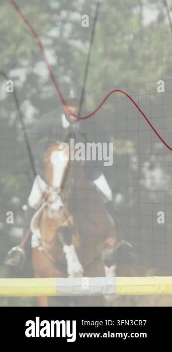 Vertical video: Equestrian rider cueing canter to jump, launching horse ...