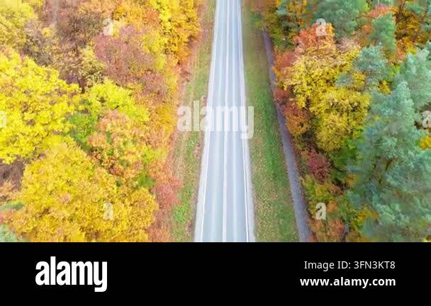Aerial view of a winding road surrounded by vibrant autumn foliage ...