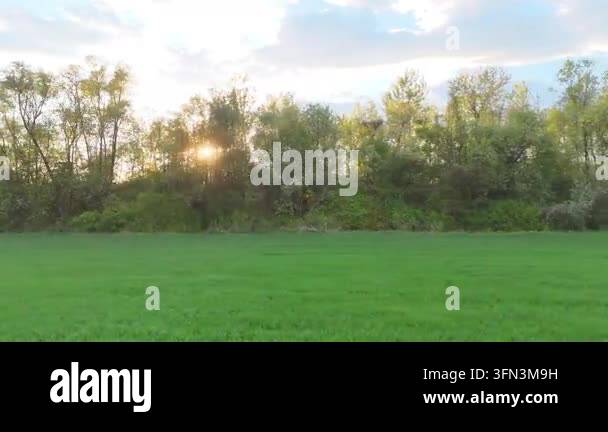 Aerial view of sun setting behind trees in a lush green field ...