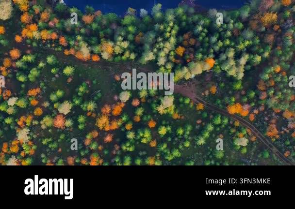 Aerial view of colorful forest landscape Stock Video Footage - Alamy