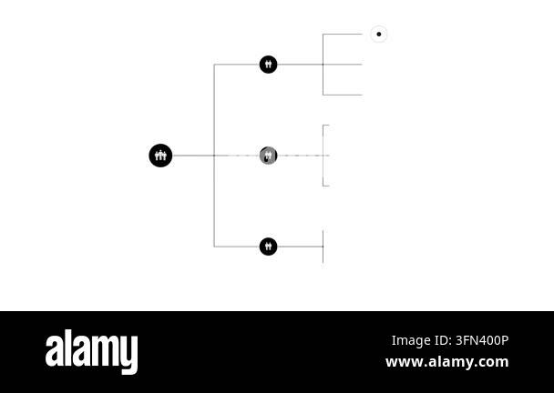 A minimalist animation featuring an expanding organizational tree ...