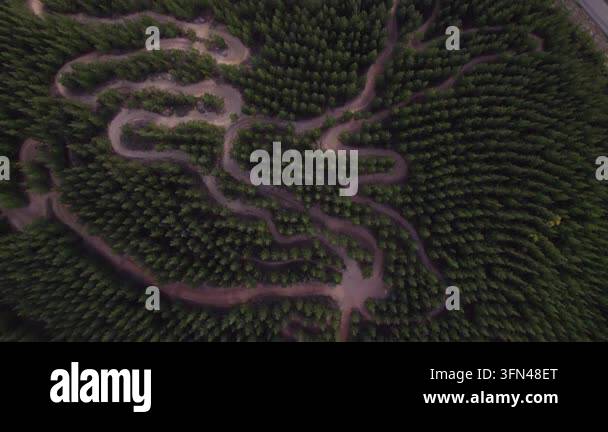 Aerial view of a winding dirt road through a dense green forest Stock ...