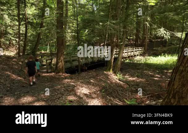 Wooden bridge crossing over small stream Stock Video Footage - Alamy