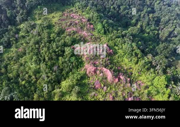 Aerial view captures dense green forest and pink rock formations Stock ...