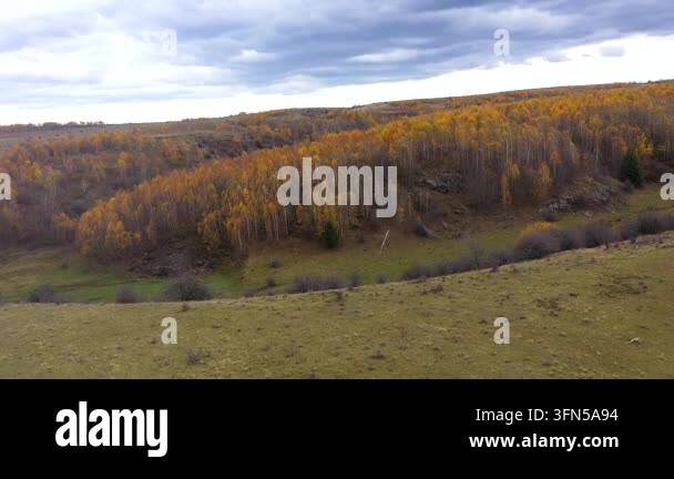 Aerial view of autumn forest canopy Stock Video Footage - Alamy