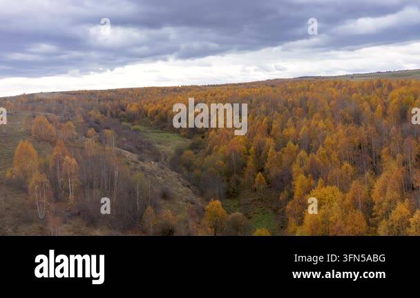 Aerial view of autumn forest canopy Stock Video Footage - Alamy