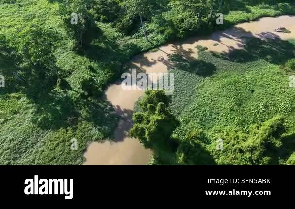 Aerial view of a winding river through lush green forest. River flows ...