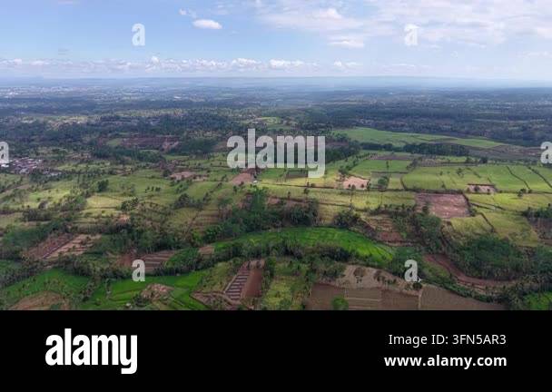 An expansive aerial view showcasing vibrant green agricultural fields ...