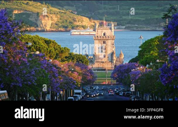 Fresh Spring Trees Jacaranda trees bloom with purple flowers near Belem Tower during ...