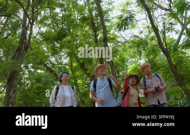 Senior retirement activity, Group of happy senior friends on forest ...