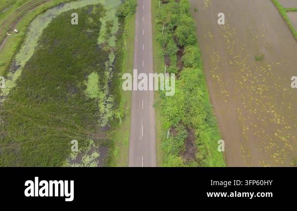 Top-down drone view of a rural road passing between agricultural fields ...