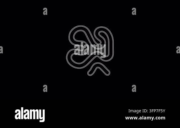 Minimalist animated drawing of a race track layout. A white line traces ...