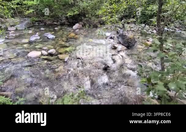Pac Vector A fast-flowing, crystal-clear mountain river rushes over smooth stone ...