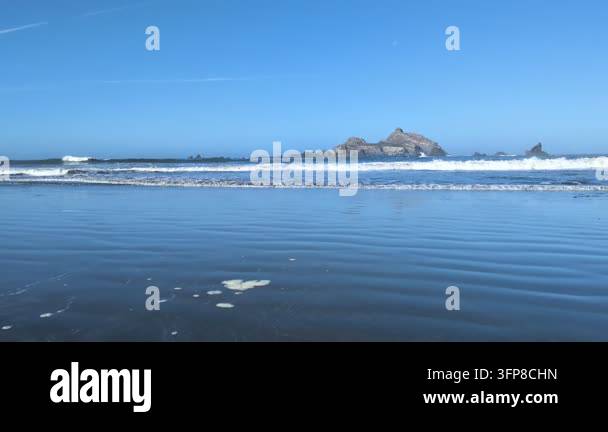 Pac Vector Video of a calm Pacific coastal beach view with reflective wet sand ...