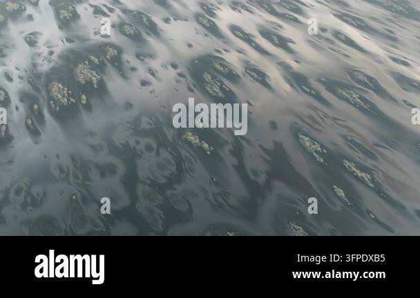 Cellular Pattern Vector Top-down drone view of scattered tidal pools and moss patches forming ...