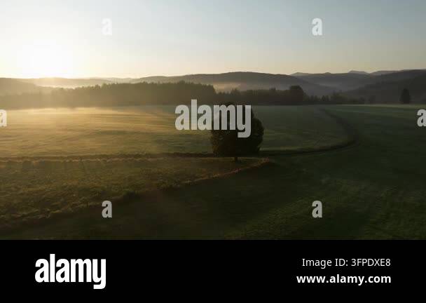 Rising drone view reveals a lone tree, broad green fields, a wooded ...