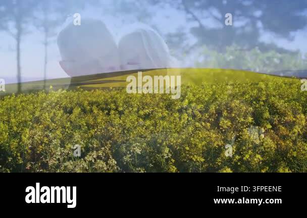Overlay Html Over Video Man and woman smiling, portrait fading in over yellow flower field ...