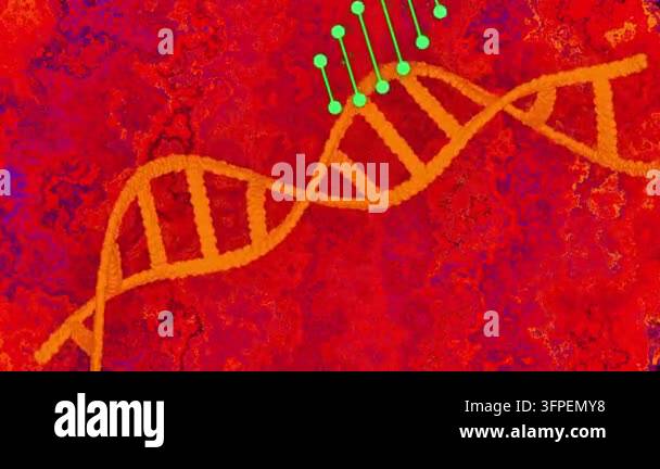 Green markers entering corners nesting into orange helix pushing strand ...
