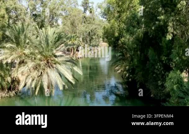 Lush green trees surrounding calm river water Stock Video Footage - Alamy