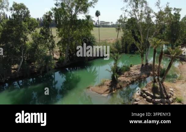 Lush green trees surrounding tranquil river Stock Video Footage - Alamy