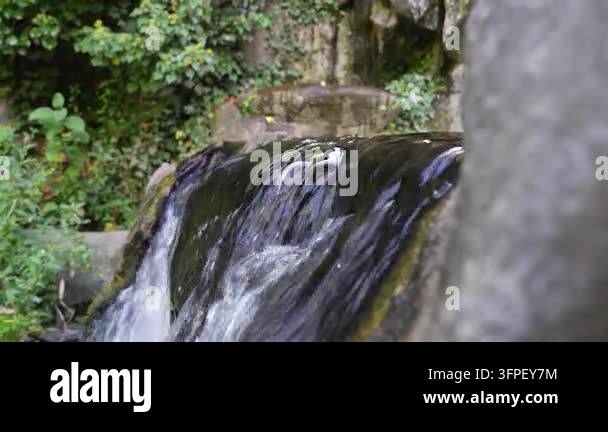Parks With Rocks A small waterfall flows over moss-covered rocks in a park, with ...