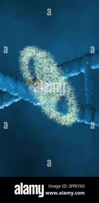 Animation of dna strand and man icon on black background. Technology ...
