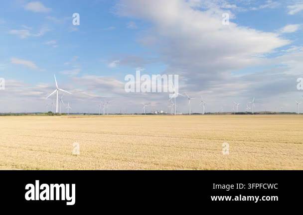 Folder Rack Tall White wind turbines generate clean power across a large golden crop ...